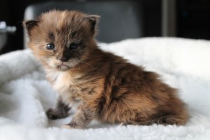 Eayla 3 weken (1)