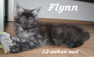 Fallon 12 weken (1) W