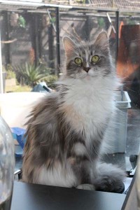 Zina (5)